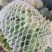 【推荐】有机花菜质量好大量供应欢迎各位老板前来考察收购