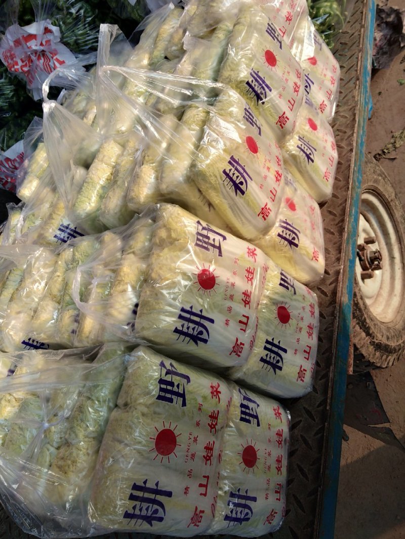 娃娃菜，本地长年供应各种蔬菜