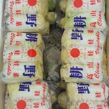 娃娃菜，本地长年供应各种蔬菜