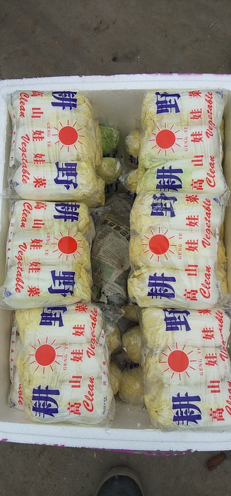娃娃菜，本地长年供应各种蔬菜