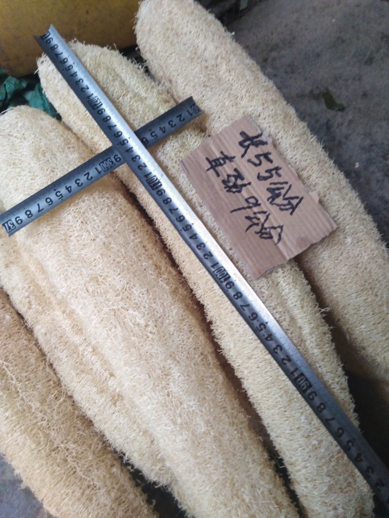 纯白丝瓜络，种植基地千亩新货20吨开免税发票。洗澡洗碗