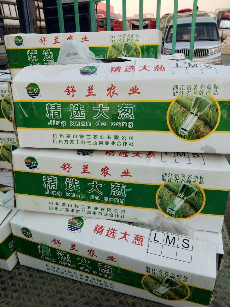 大葱，本地长年供应各种蔬菜