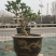 艺源金银花，枸杞种植园