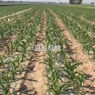 玉米膜上种播种机省扣膜的玉米多功能四轮拖拉机