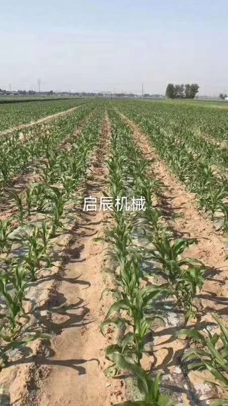 玉米膜上种播种机省扣膜的玉米多功能四轮拖拉机