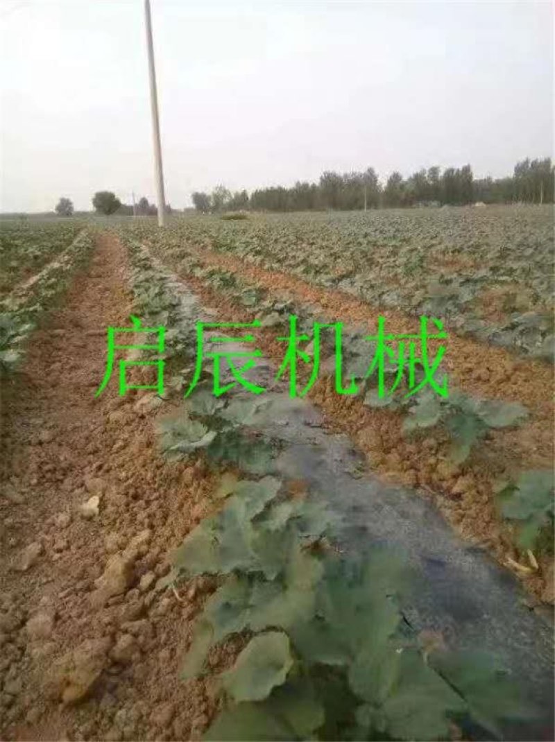 玉米膜上种播种机省扣膜的玉米多功能四轮拖拉机