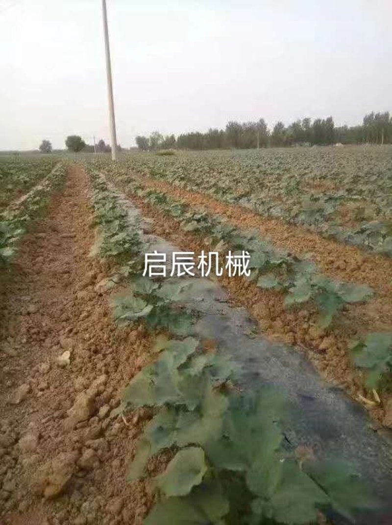 玉米膜上种播种机省扣膜的玉米多功能四轮拖拉机