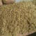 北龙胆草清原龙胆草水洗烘干干货药典品品种纯正