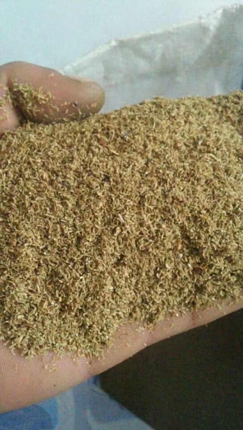 北龙胆草清原龙胆草水洗烘干干货药典品品种纯正