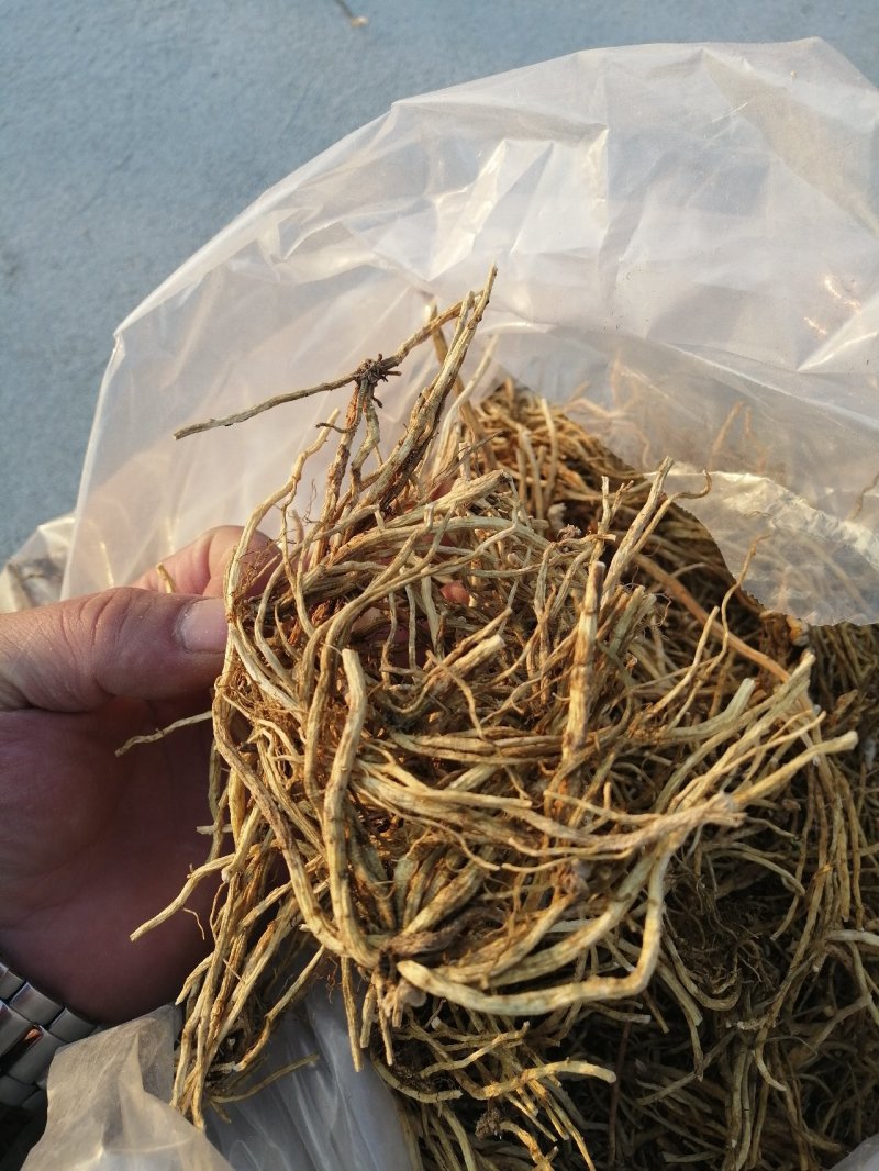 北龙胆草清原龙胆草水洗烘干干货药典品品种纯正