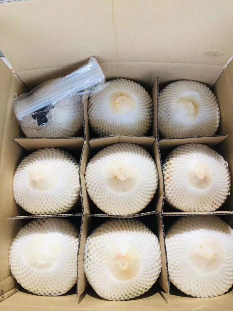 海南文昌椰子厂家直供