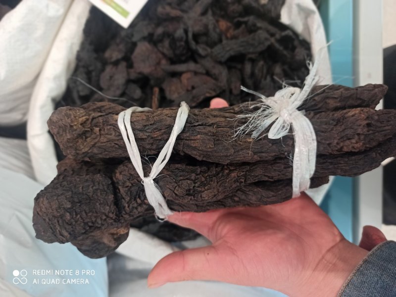 肉苁蓉正品大芸正品肉苁蓉专业批发中药