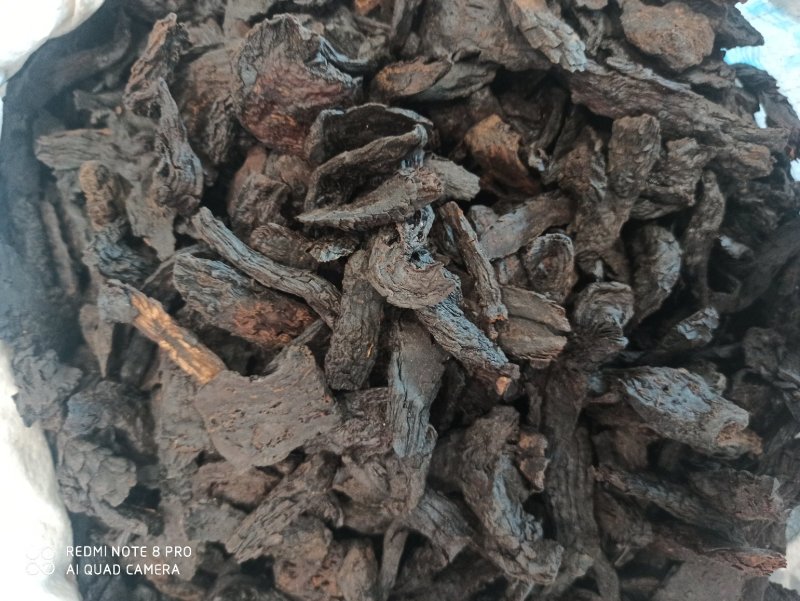 肉苁蓉正品大芸正品肉苁蓉专业批发中药