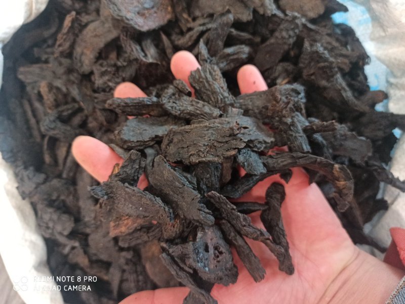 肉苁蓉正品大芸正品肉苁蓉专业批发中药