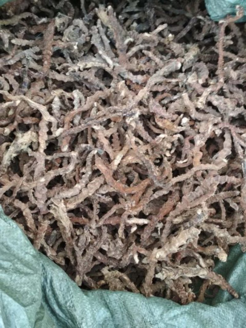石菖蒲