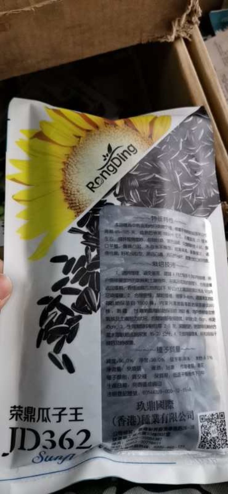 食用向日葵向日葵种子产量高好成活