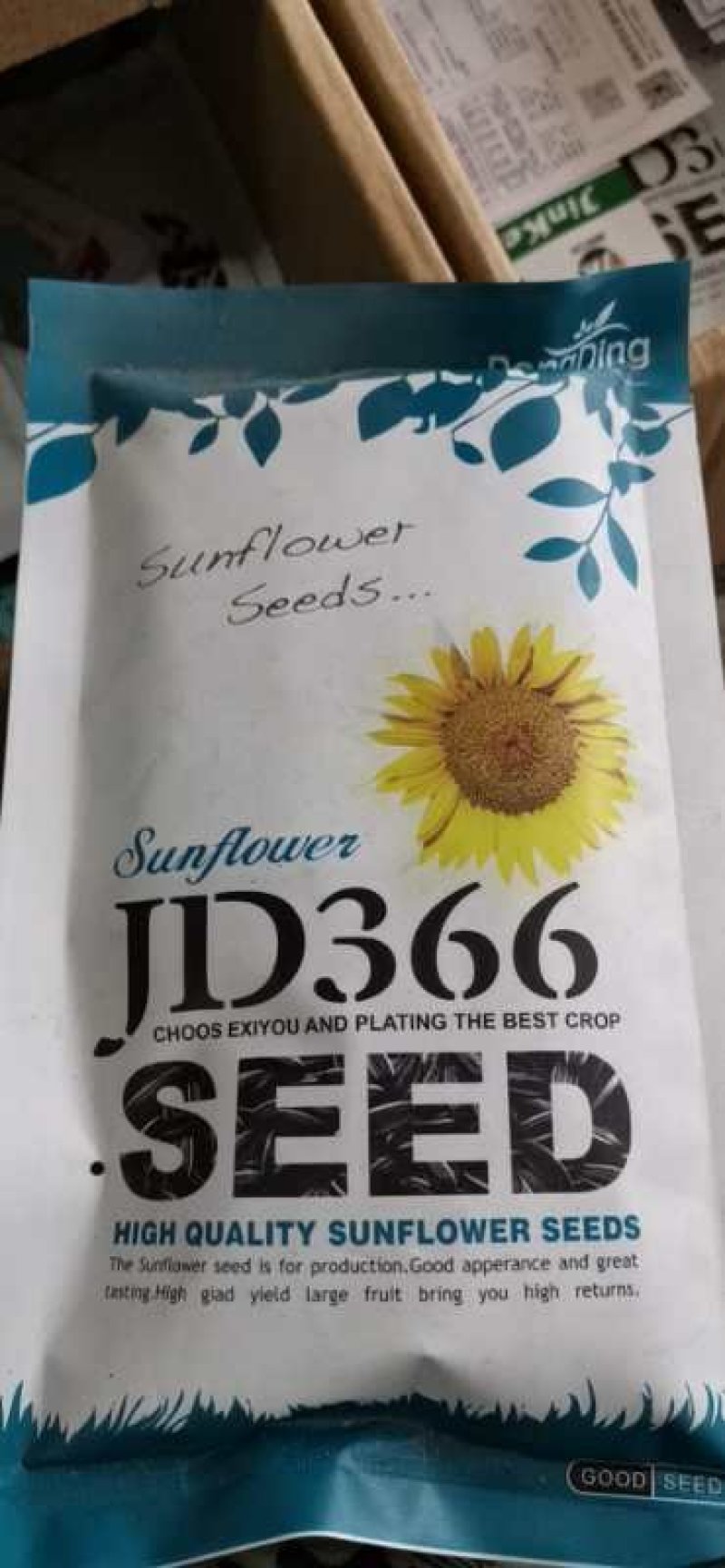 食用向日葵向日葵种子产量高好成活