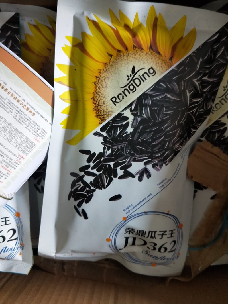 食用向日葵向日葵种子产量高好成活