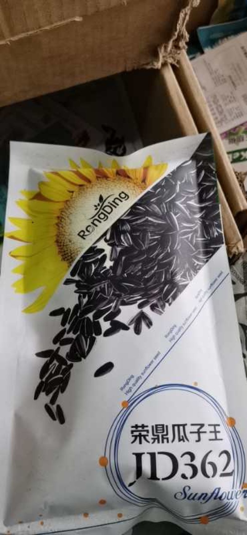 食用向日葵向日葵种子产量高好成活
