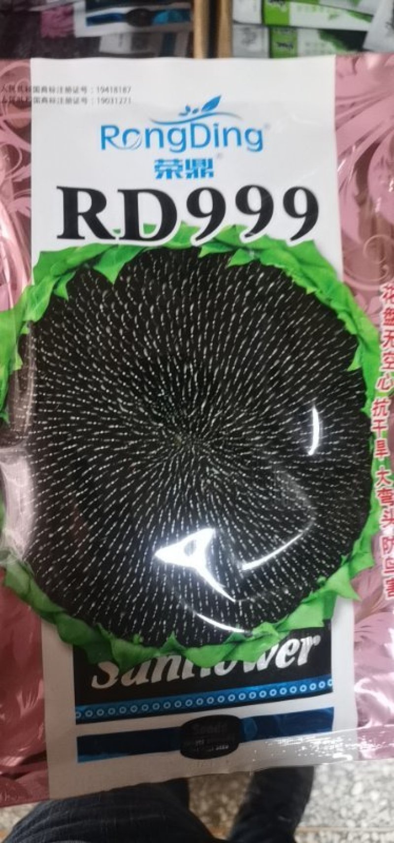油葵种子向日葵种子出油率高矮大头高产
