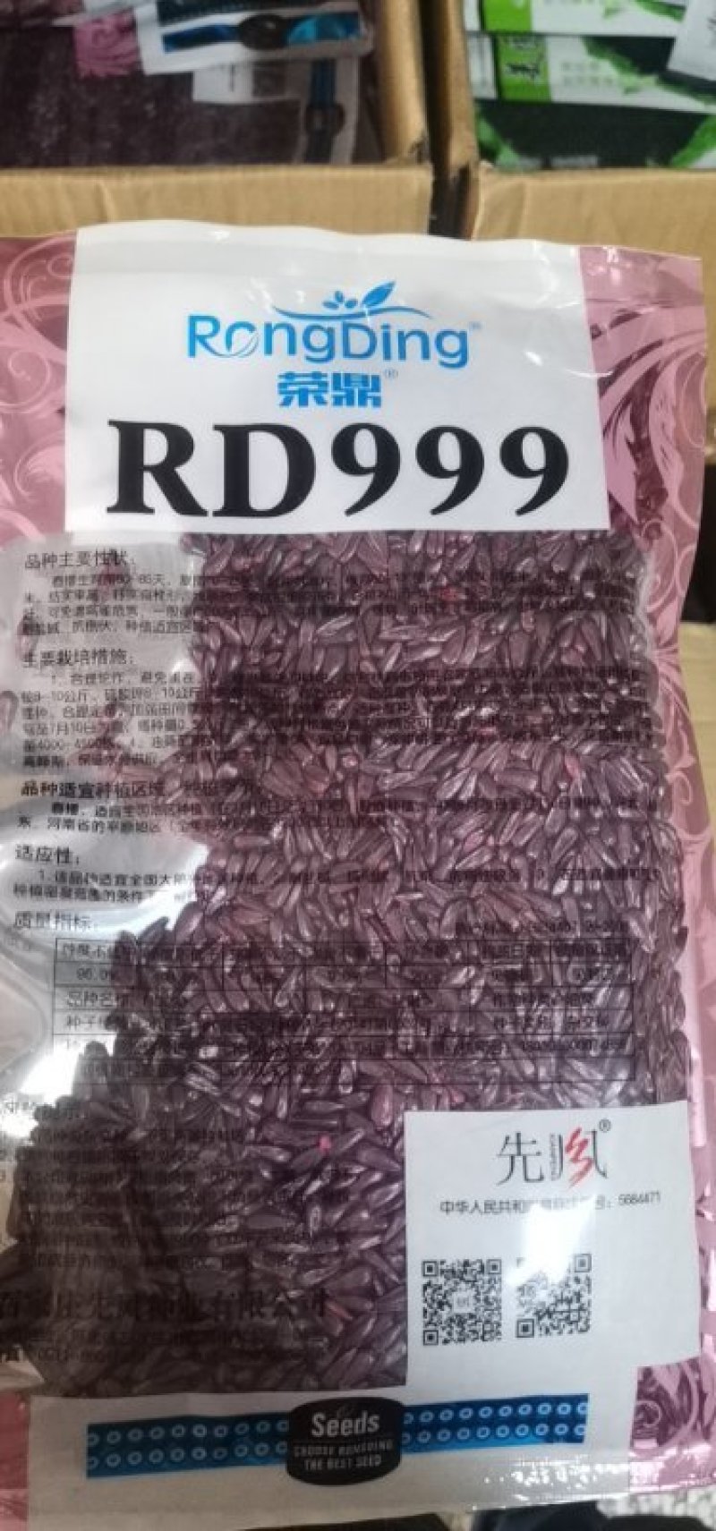 油葵种子向日葵种子出油率高矮大头高产