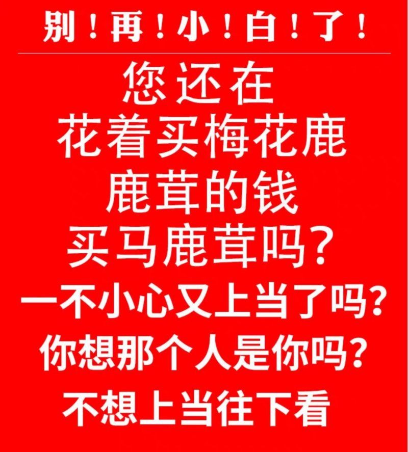 【59.9一包】鲜鹿茸切片血多新切鹿50克血片鲜货包邮