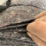 土工布养护毛毡防草保湿布