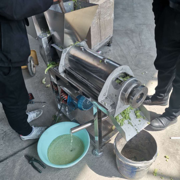 螺旋榨汁机新款打浆机价格大型果蔬出汁机器多种型号
