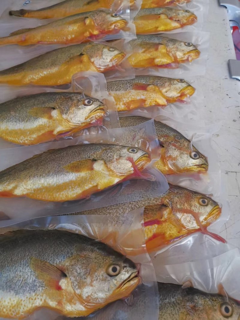 黄花海鲜