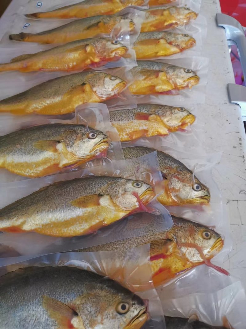 黄花海鲜
