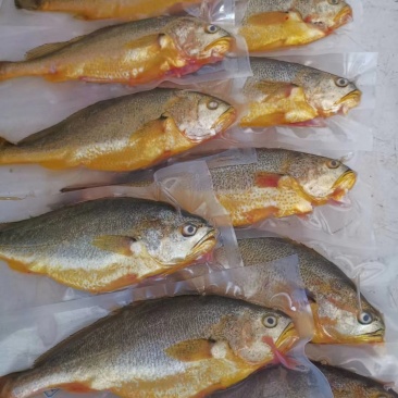 黄花海鲜