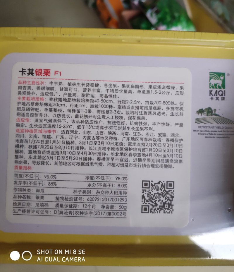 卡其银栗南瓜种子中早熟果肉杏黄香脆细腻产量高