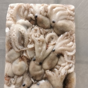 新鲜小八爪