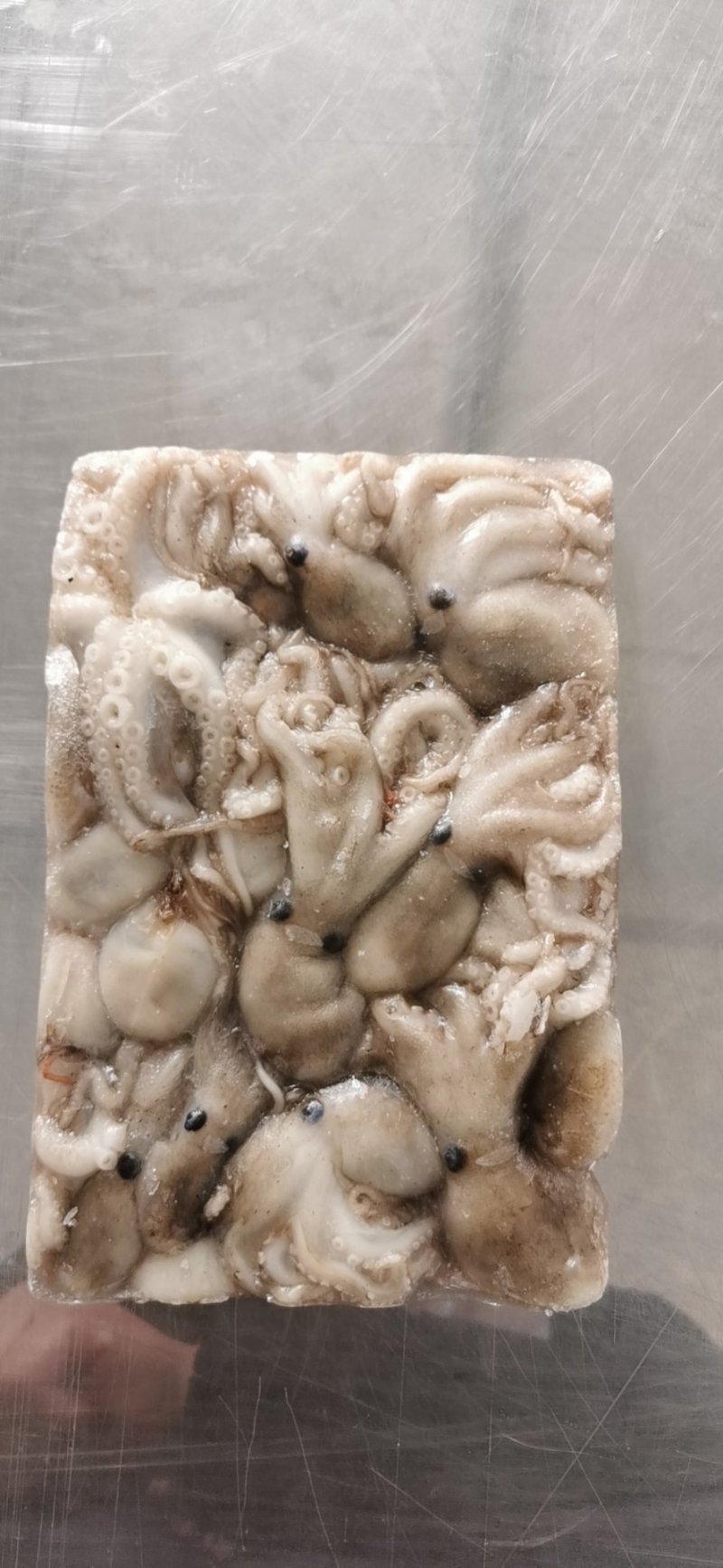 新鲜小八爪