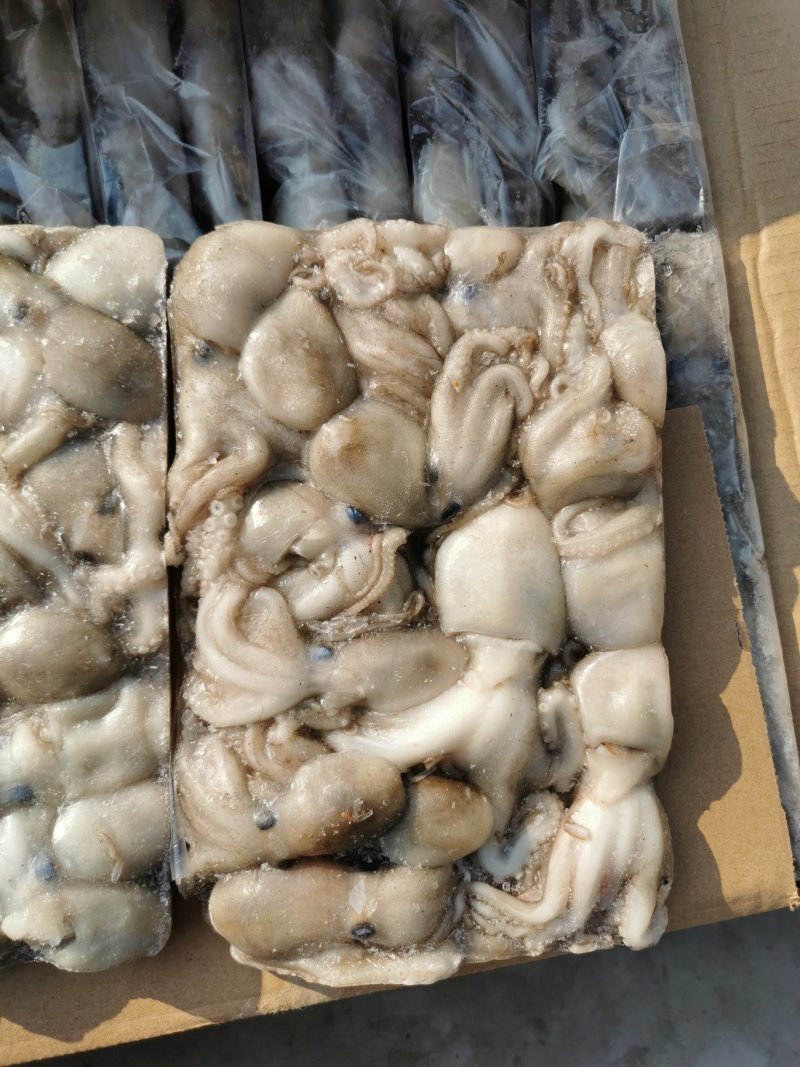 新鲜小八爪
