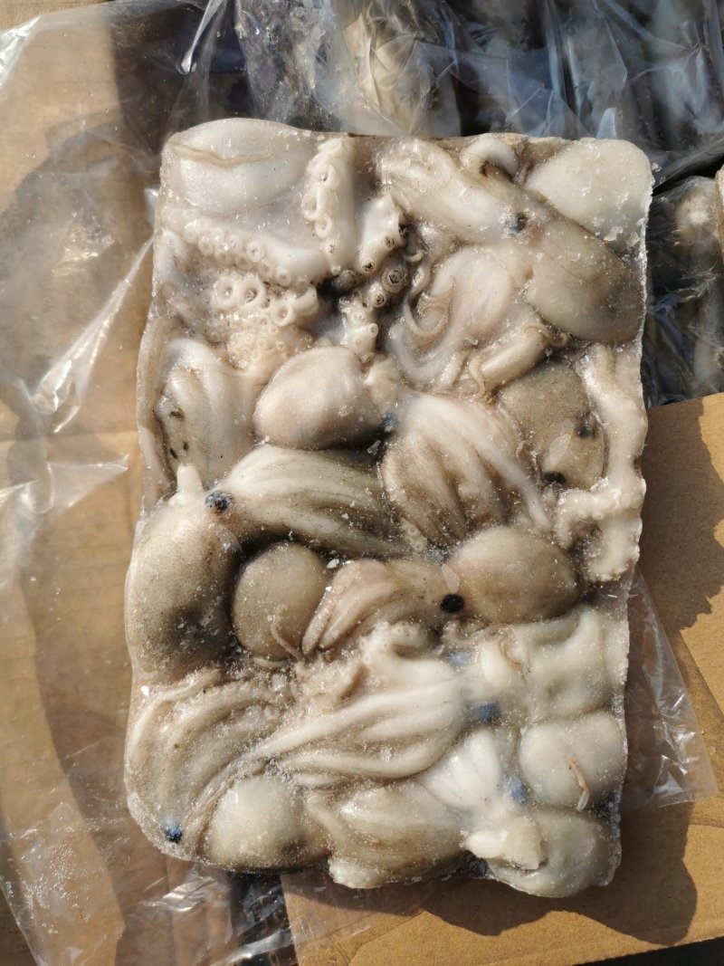新鲜小八爪