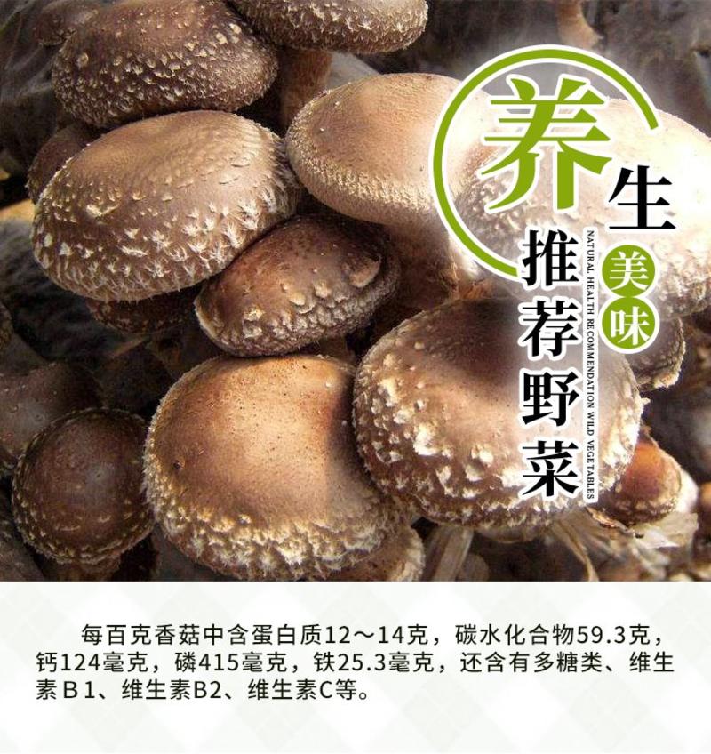 脱水椴木香菇，5~6倍泡发率，仿人工切碎，全国常年供货