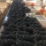 长期大量代收·批发高原优质葡萄🍇～～欢迎实力商家前来选购