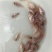 广东优质红罗非鱼苗，彩红鲷鱼苗豹纹红鱼苗鱼基地全国发货