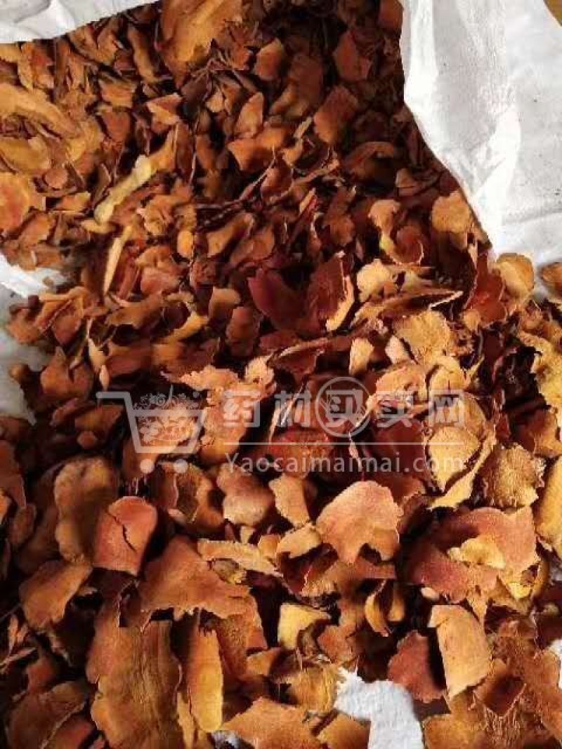 柴质土茯苓，符合药典标准保质保量供货价钱实惠