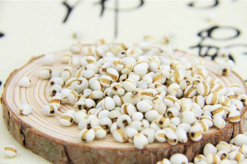 小薏米薏米仁中药薏米111