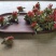 红花头，菠萝头，一手货源