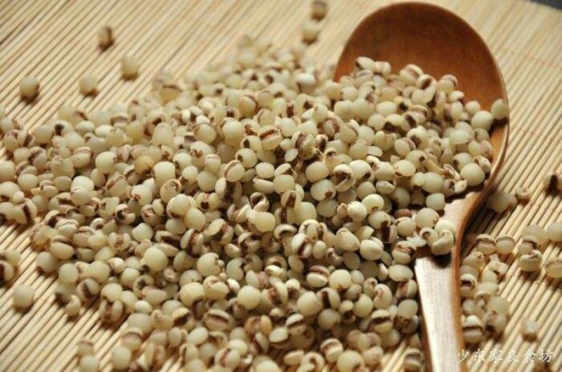 小薏米薏米仁中药薏米111