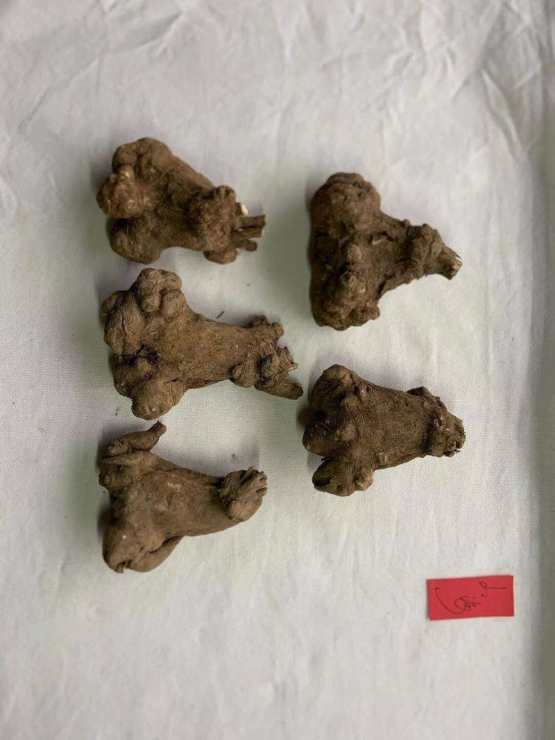 白术，干货，无硫，自产自销，一手货源