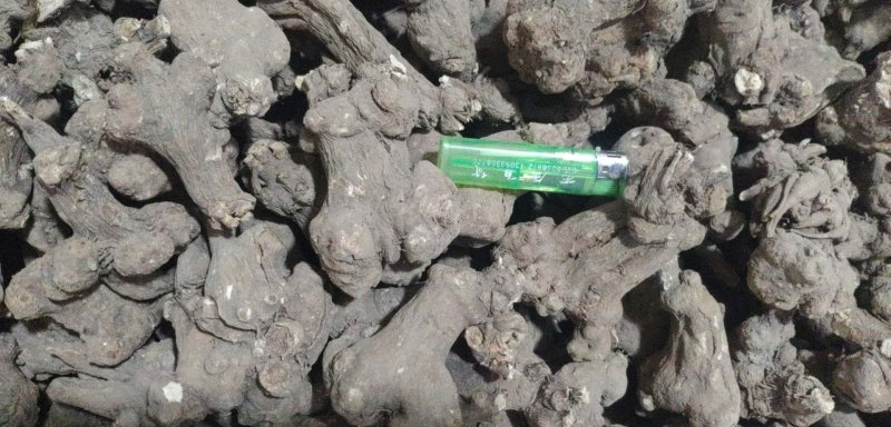 白术，干货，无硫，自产自销，一手货源