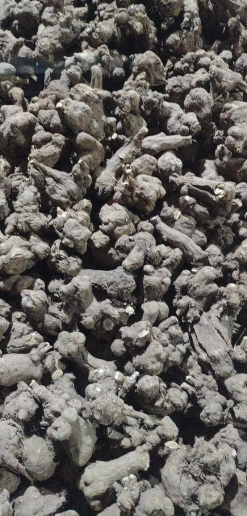 白术，干货，无硫，自产自销，一手货源