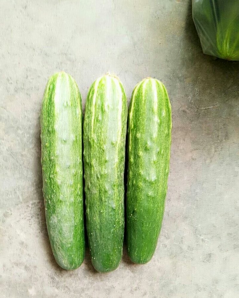 黄瓜（新鮮黃瓜现货）