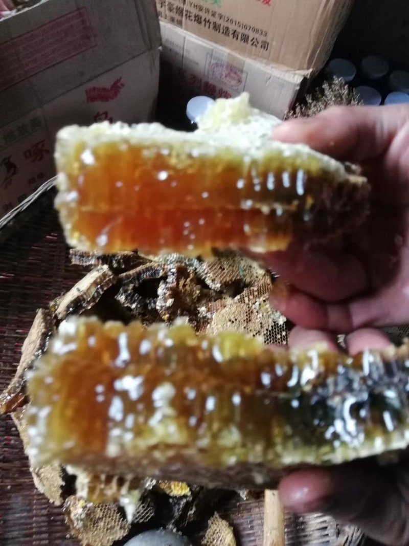 土蜂蜜