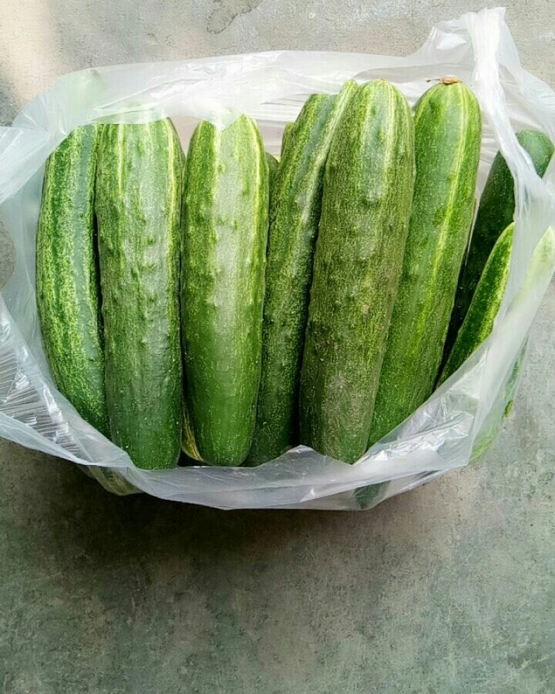 黄瓜（新鮮黃瓜现货）