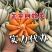 甜瓜香瓜花蕾甜瓜大量供应实力代办一件代发